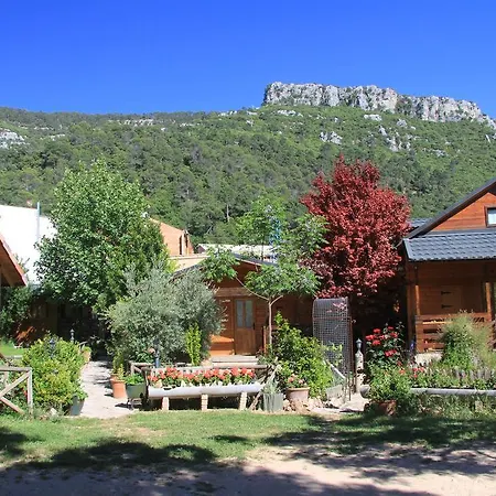 Pinos Arroyo Frío