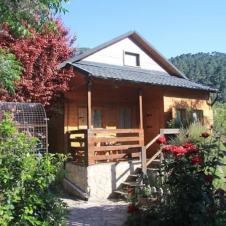 Pinos Arroyo Frío