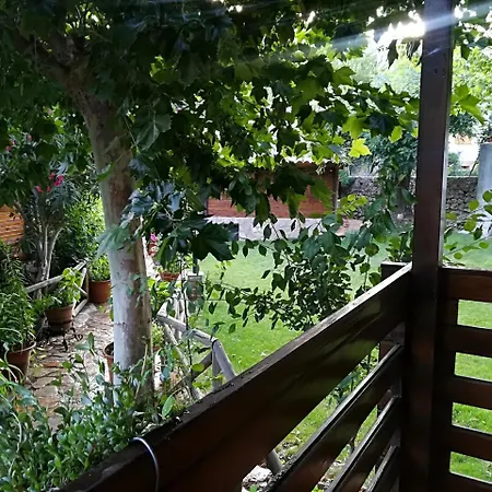 Pinos *