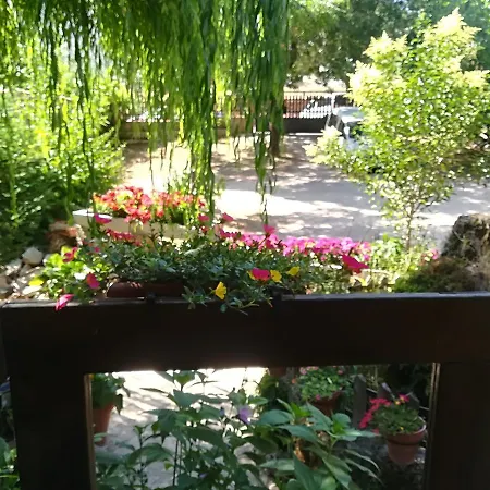 Pinos Apartamento Arroyo Frío