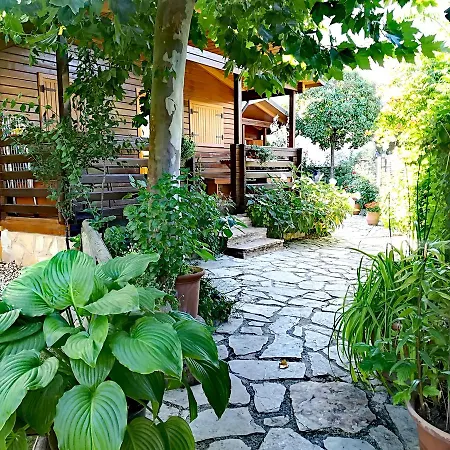 Apartamento Pinos *